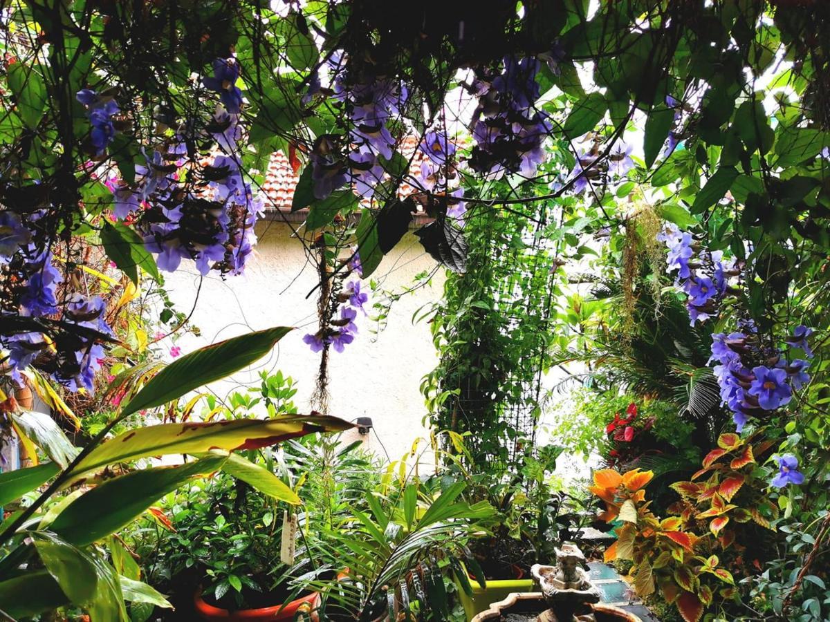 ונטימיגליה Romantic Casa Lorenzina Affittacamere מראה חיצוני תמונה