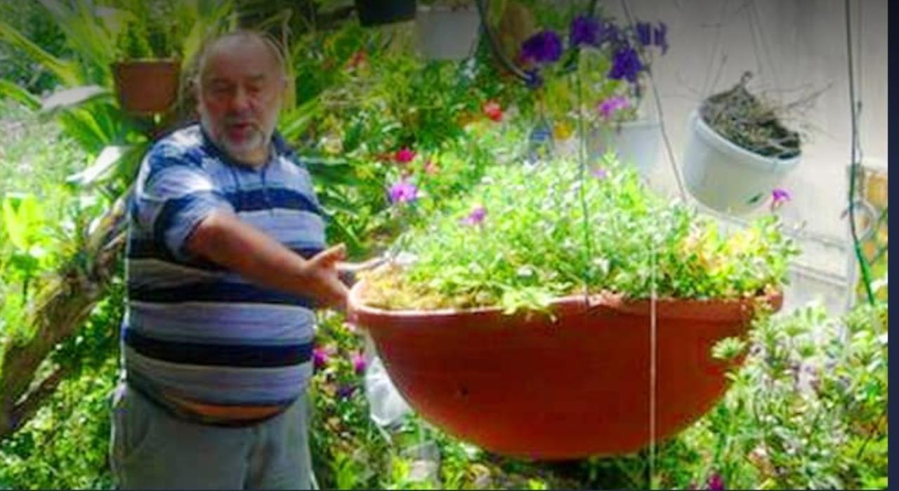 ונטימיגליה Romantic Casa Lorenzina Affittacamere מראה חיצוני תמונה